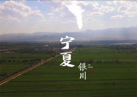 &#112;&#112;&#30005;&#23376;&#40;&#20013;&#22269;&#21306;&#41;&#23448;&#26041;&#32593;&#31449;