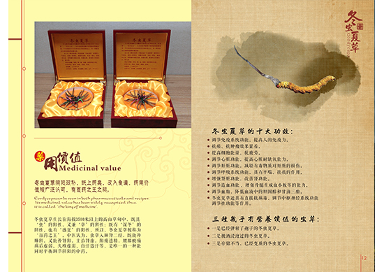 &#112;&#112;&#30005;&#23376;&#40;&#20013;&#22269;&#21306;&#41;&#23448;&#26041;&#32593;&#31449;
